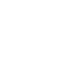 Lifeship Logo